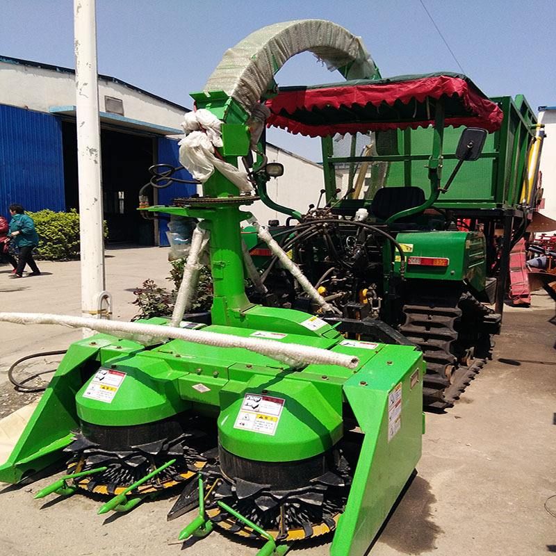 那些農(nóng)民在夏季收獲的地方去了哪里？ 